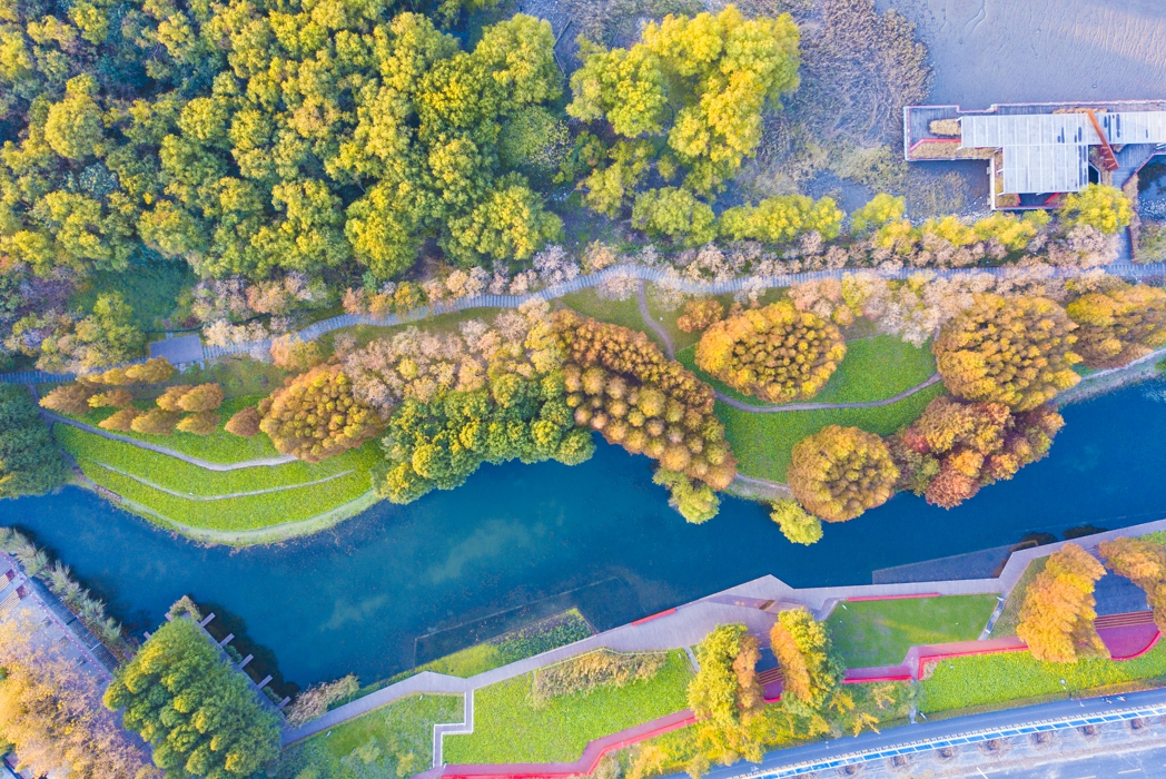 世博后滩公园