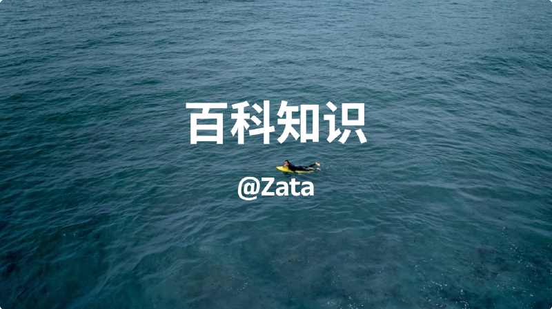 Featured image of post 总-百科知识
