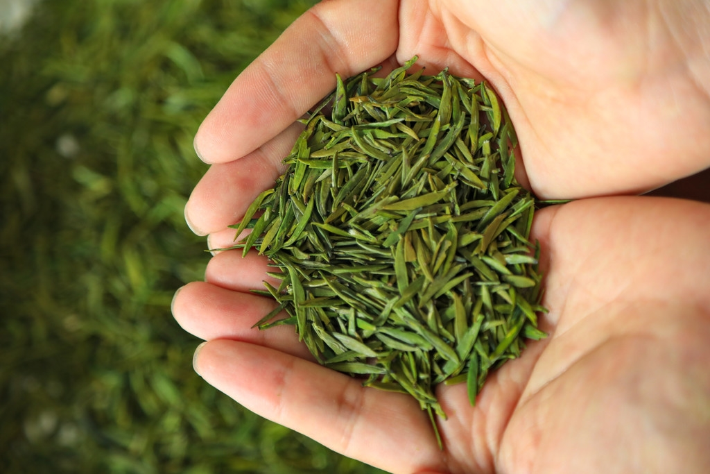 峨眉山茶