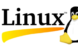 Featured image of post 1核1G云服务器“绝地求生”：如何把Ubuntu的内存从剩200M优化到能跑服务