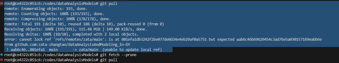 cannot_lock_ref_error