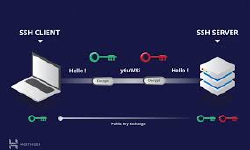 Featured image of post SSH使用教程