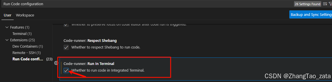 让runconde默认在terminal